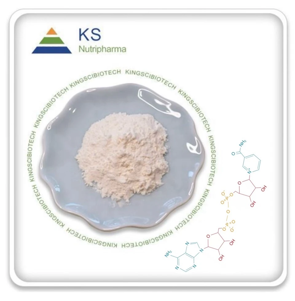Nicotinamid adenin dinucleotidpulver