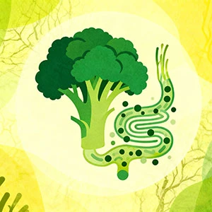 Er broccolispirer gode for tarmen?